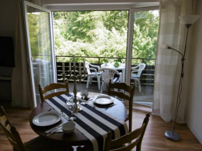 Отель Ferienwohnung Waldblick  Браунлаге